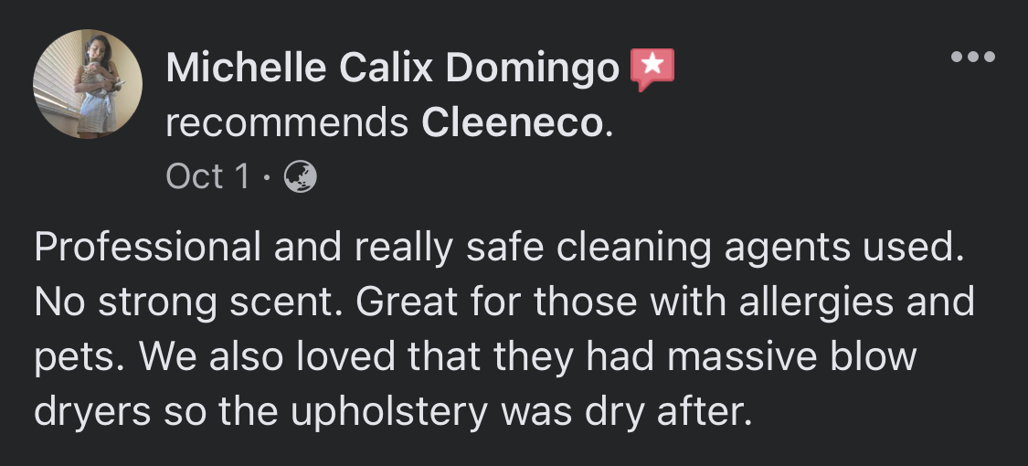 Deep Cleaning Services Philippines | Steam Cleaners | Cleeneco