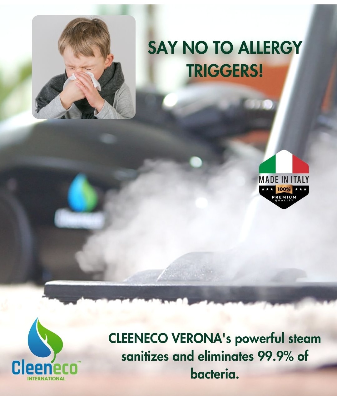 Allergy triggers beware! - Cleeneco Verona - 1